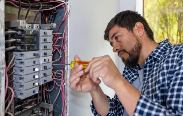 Best Electric Panel Repair  in Winfield, WV